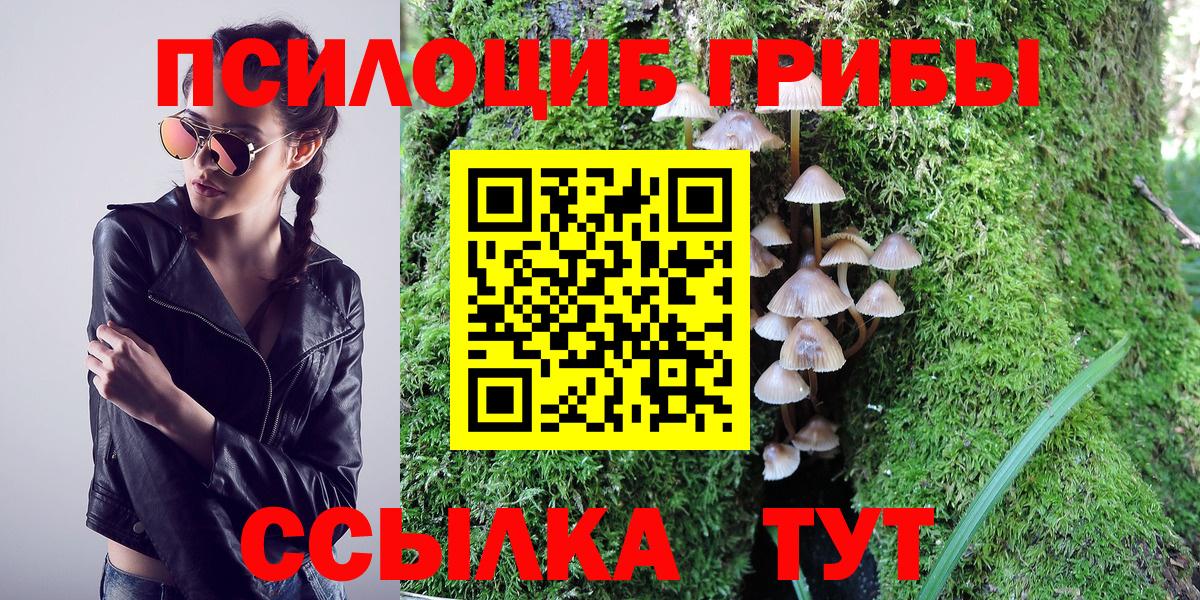 Псилоцибиновые грибы Psilocybine cubensis Улан-Удэ